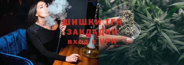 тгк Гусев
