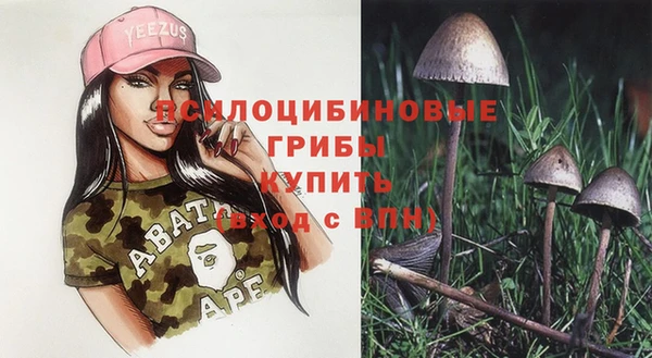 спайс Балабаново